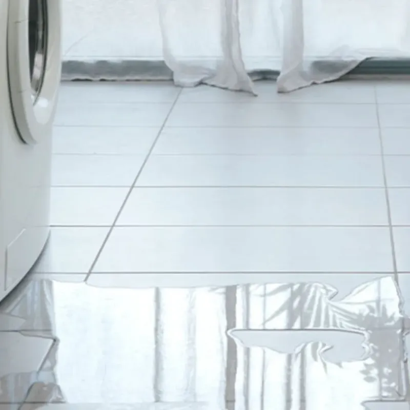 Appliance Leak Cleanup in Groveland, FL