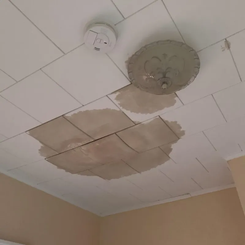 Ceiling Water Damage Repair in Groveland, FL